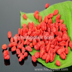 Raw Goji berry/nature wolfberry/ lycium barbarum/medlar/Ning Xia hot sales