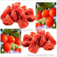 Chinese Medlar/Organic Wolfberry From China