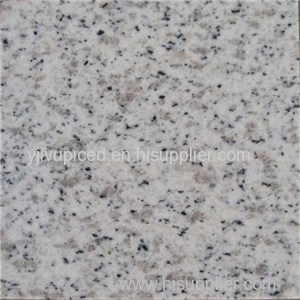 Shandong Seasome White Color G365 White Sparkle Granite Floor Tiles White Kitchen Countertops