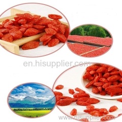 Dried goji berries Chinese wolfberry