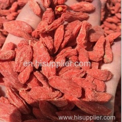 Sun dried goji berries