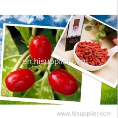 Chinese Wolfberry Origined From Ningxia