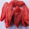 Best Goji Wolfberry Chinese