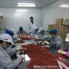 Best Goji Wolfberry Chinese