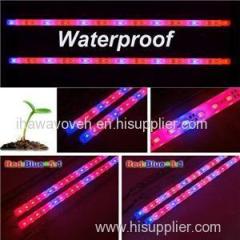 High Quality Customized Red Blue Color Flexible 2835 SMD 60LEDs/m Hydroponic Supplies LED Strip Grow Light Manufacturers