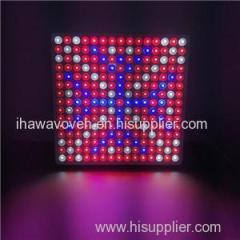 Ebay Hot Selling High Quality New Module Design Customized 225 Pcs 2835SMD 50W LED Panel Best Grow Lights Manufacturers