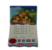 Piano keyboard cartoon book sound module