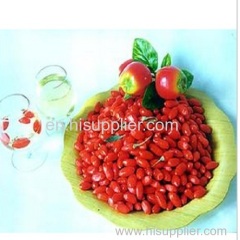 Chinese goji berries wolfberry