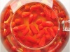 Cheap goji berries wolf berry