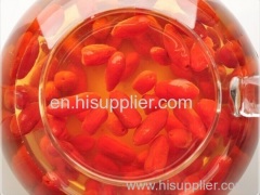 Cheap goji berries wolf berry