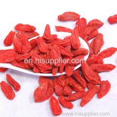 Cheap goji berries wolf berry