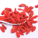 Red goji Chinese berry