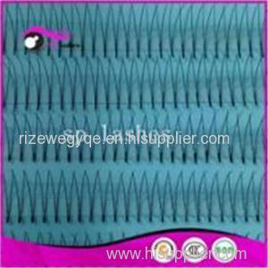 Hot Selling Flare Cluster Y 2D Volume Eyelashes Extension