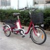 Etb Steel Frame Electric Tricycle Bike 36V10Ah Lithium Battery 250W Hub Motor