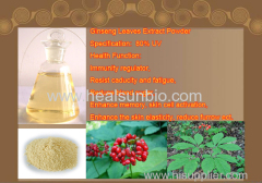 Panax Ginseng berry Extract Ginsenoside