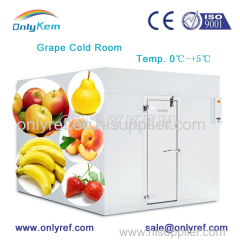 walk in freezer room for fruits and vegetable