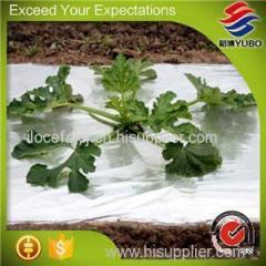 30 Micron 150cm*600m Clear Plastic Mulch Film