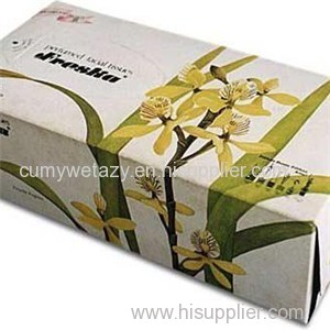 Pumping Paper Boxes Product Product Product