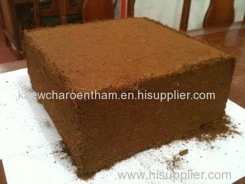 Coco Peat Lower Price