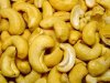 cashew nuts of cashew