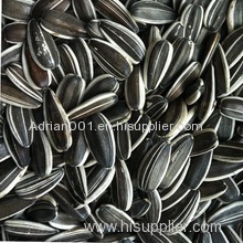 Best Quality Sunflower seeds