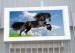 Wall Mounted Energy Saving Led Display P12 For Public Space Aluminum Cabinet