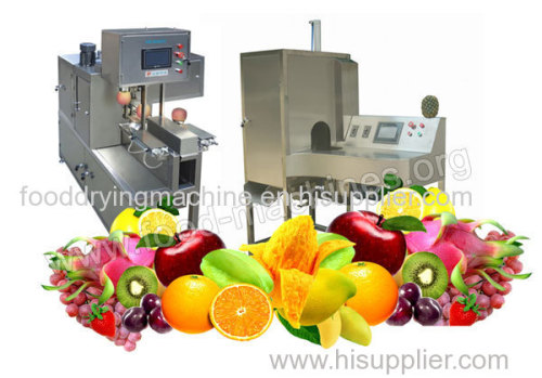 Azeus Fruit Peeling Machine