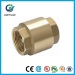 Brass Water Pump Foot Valve