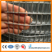 Welded wire mesh made of PVC coated wire