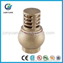 Brass Spring Check Valve With Plastic Core