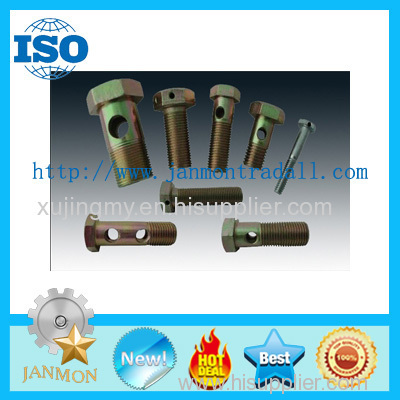 Special Hexagon bolts with holes Bolt with hole Bolt with Hole in Head Hex head bolts with holes Hex bolts with holes