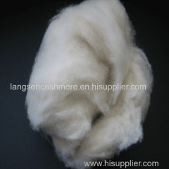 Good hand feel dehaired cashmere fibre