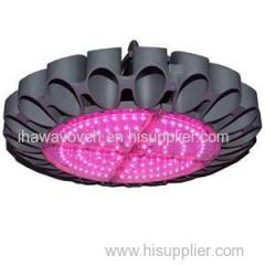 Buy Discount High Quality IP67 Waterproof 104x3w Full Spectrum 312w UFO LED Grow Light For Hydroponics Store Suppliers