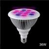 Bulk Amazon Best Seller GU10 MR16 E26 E40 E27 Red Blue Color Optional 36W PAR38 LED Grow Light Bulbs Manufacturers