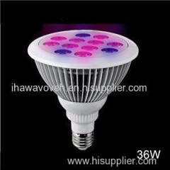 Bulk Amazon Best Seller GU10 MR16 E26 E40 E27 Red Blue Color Optional 36W PAR38 LED Grow Light Bulbs Manufacturers