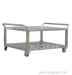 Cleanroom stainless steel trolley/rack car