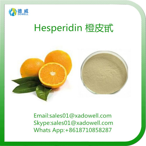 Natural Plant Extracts Citrus Aurantium Extract For Preventing Cancer Hesperidin 90% CAS 520-26-3