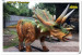 Jurassic lifelike Animatronic Dinosaurs for theme park
