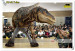 Dinosaur Costume T-rex Onlydinosaurs