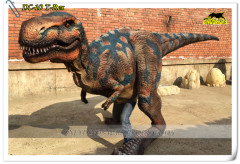 Dinosaur Costume - normal type