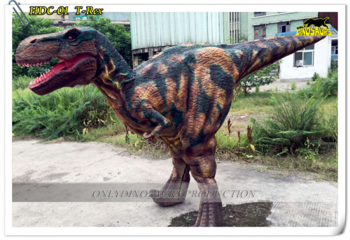 Dinosaur costume HDC series