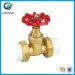 PP-R BRASS GATE VALVE