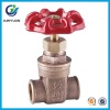 Bronze Gate Valve for Sea Water