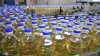 Sunflower oil Corn Oil