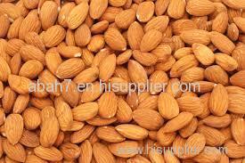 Almond nuts in Almond