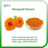 Marigold Extract Lutein 5%-90%