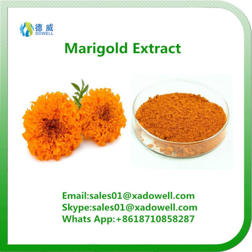 Marigold Extract Lutein 5%-90%