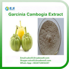 Garcinia Combogia Extract HCA