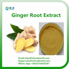 Natural High Quality Ginger Root Extract