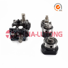 Hight Quality Head Rotor- Delphi Cav Rotor Head